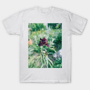 Iris Photo in Yosemite Valley T-Shirt